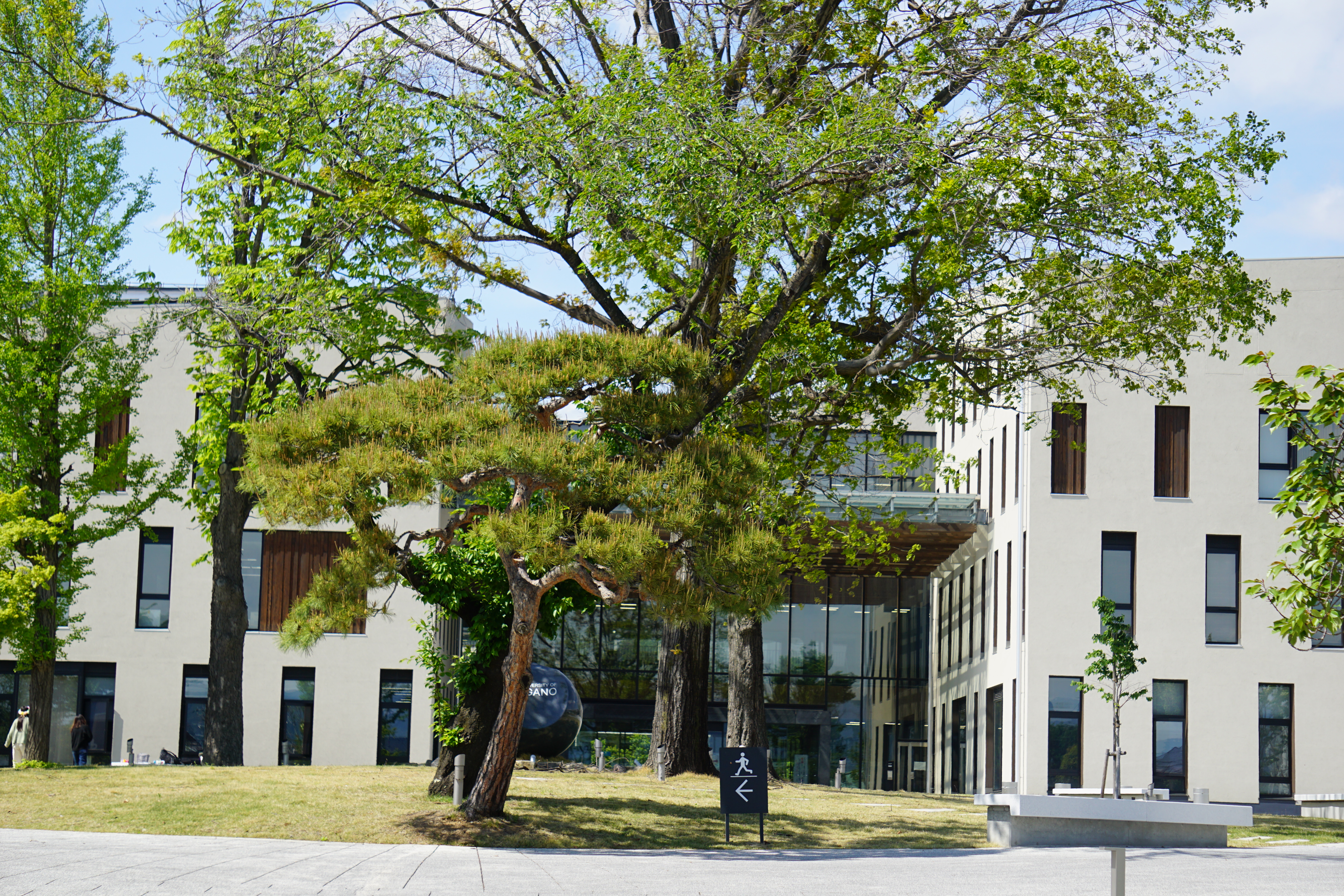 中庭の様子