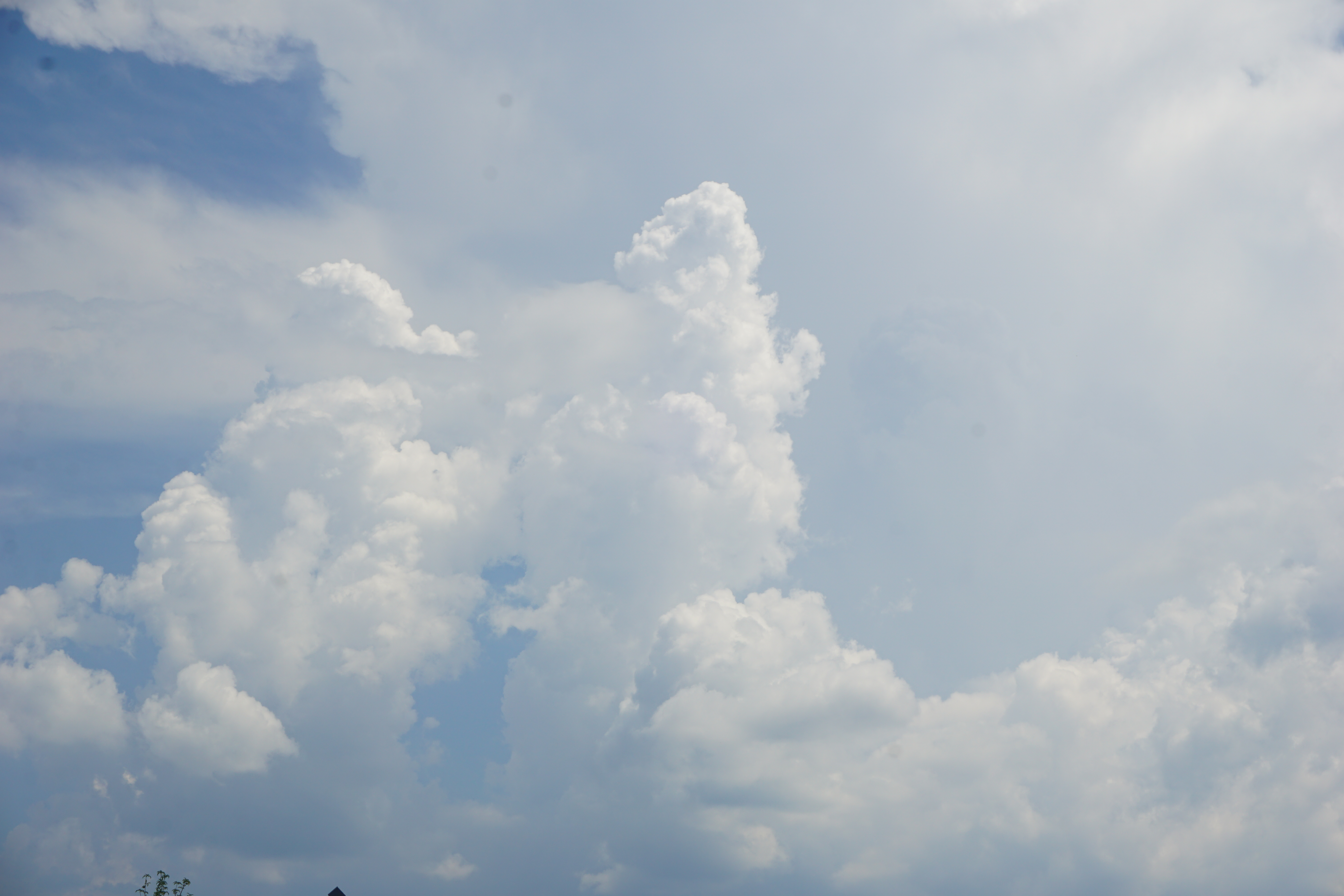 立ち上る雲