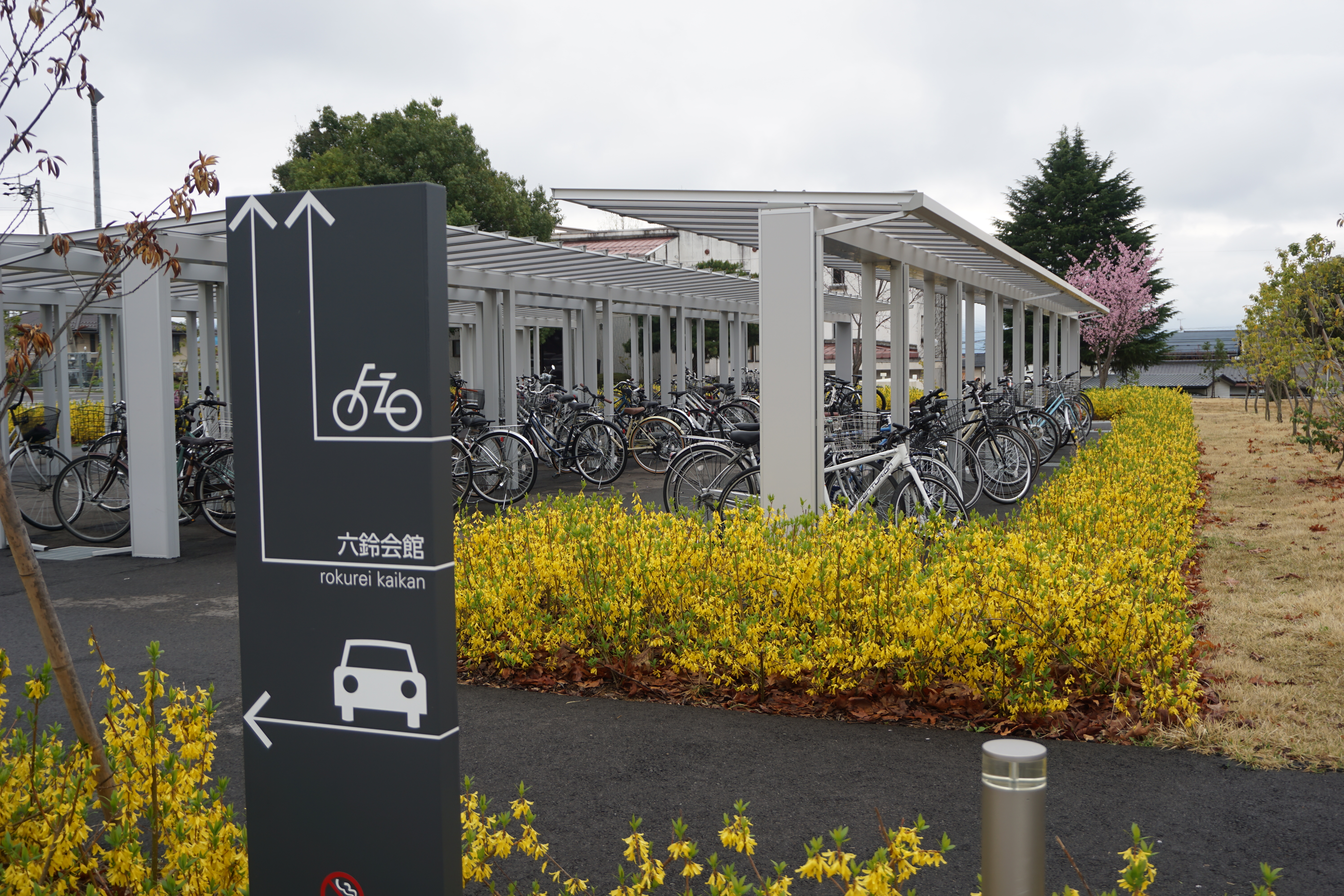 対面授業が始まり駐輪場にはたくさんの自転車が