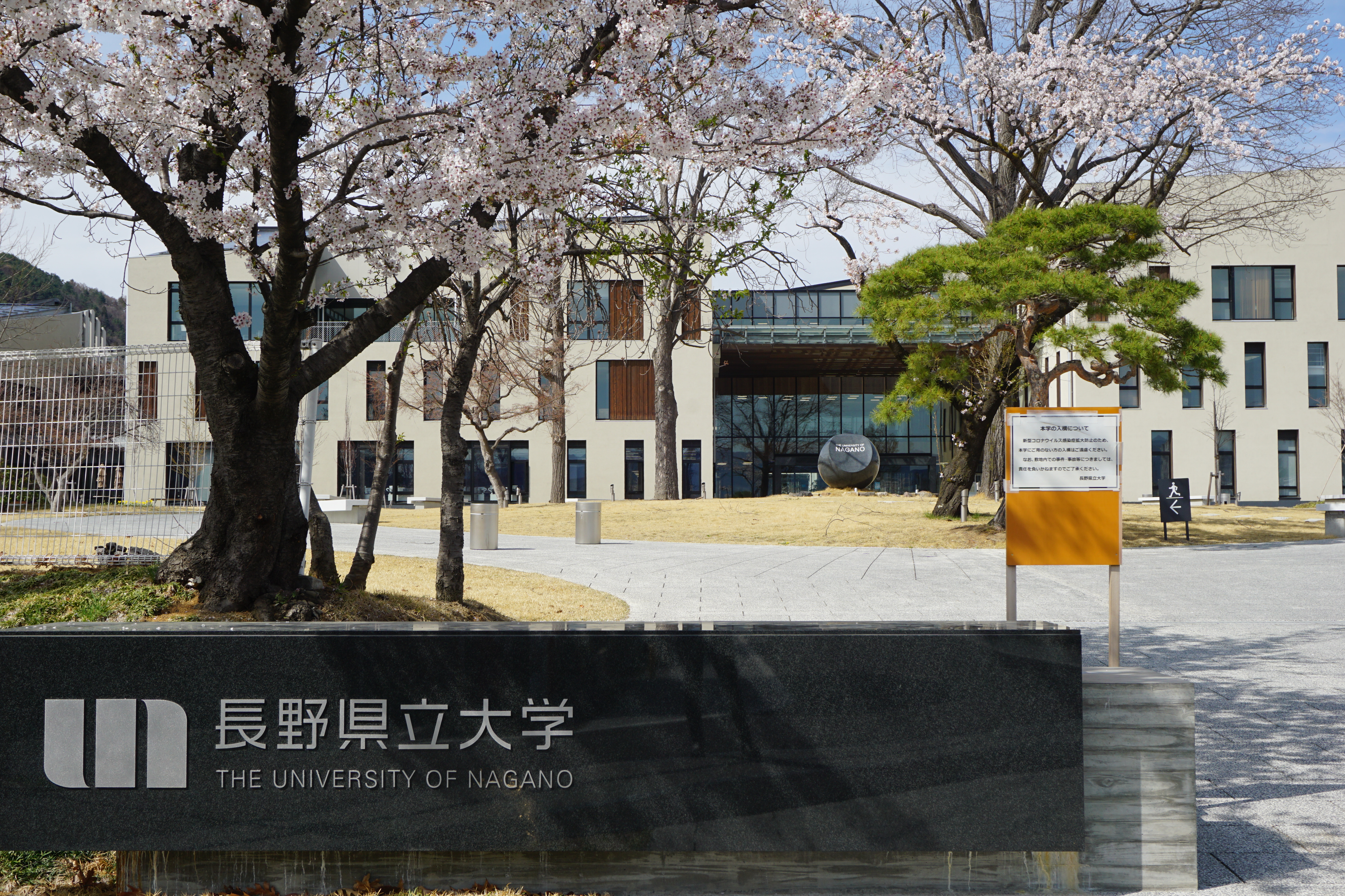 4月6日撮影した桜