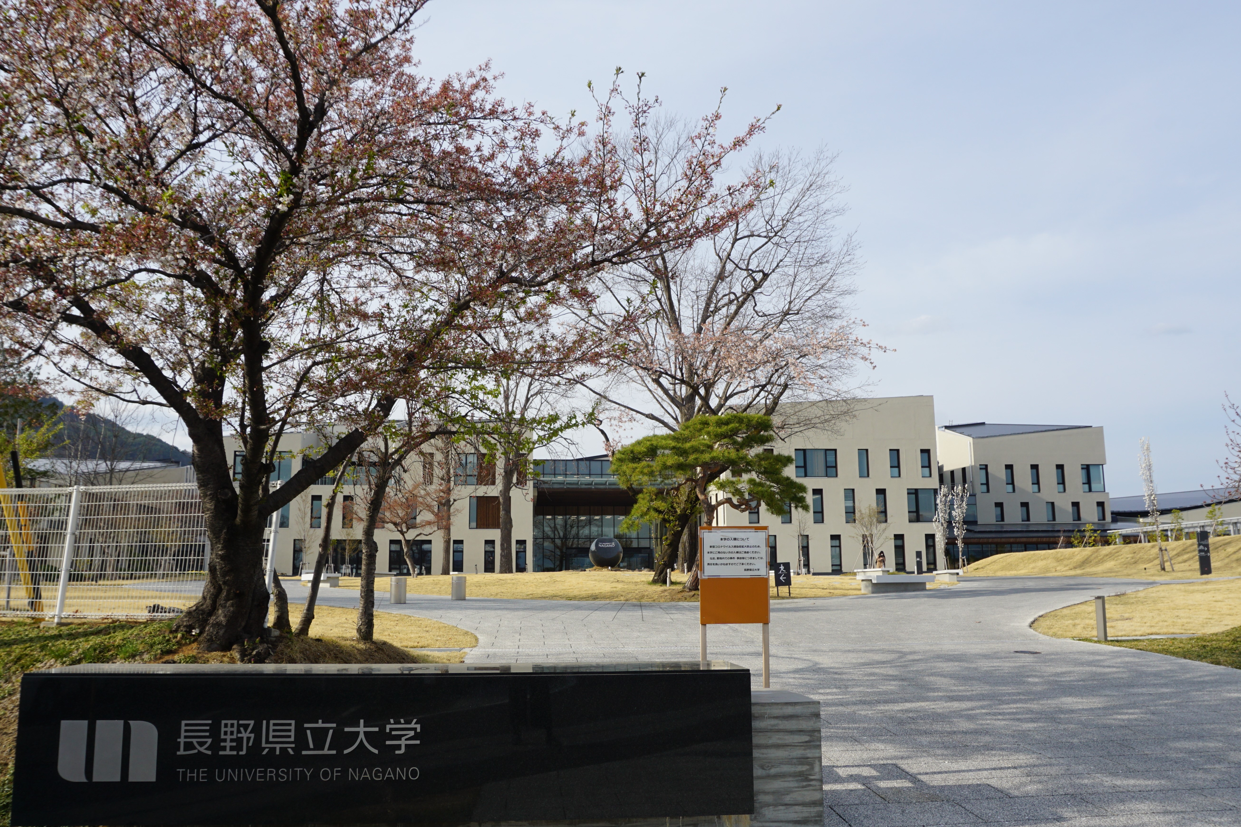 4月12日撮影した桜