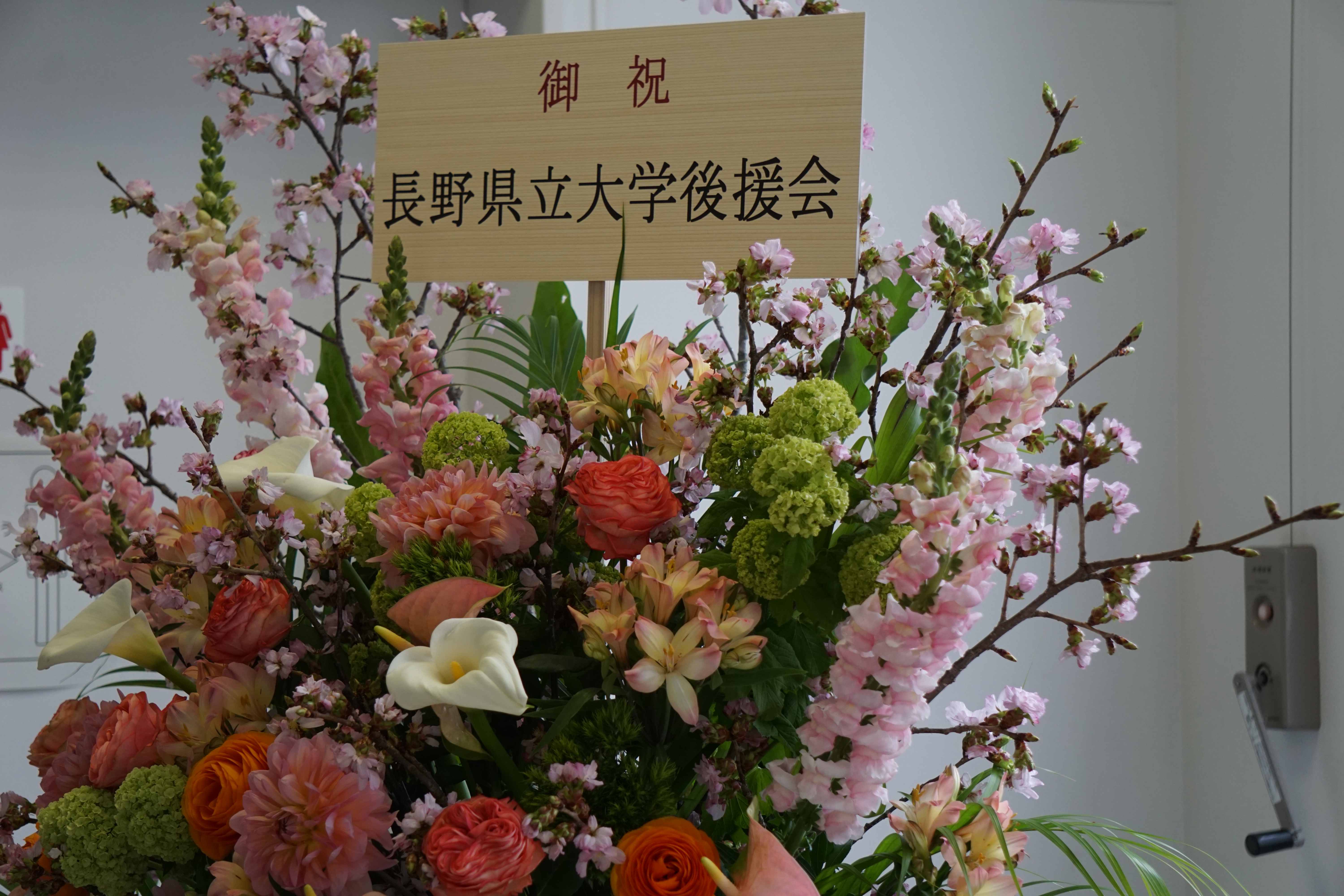 後援会よりいただいた花